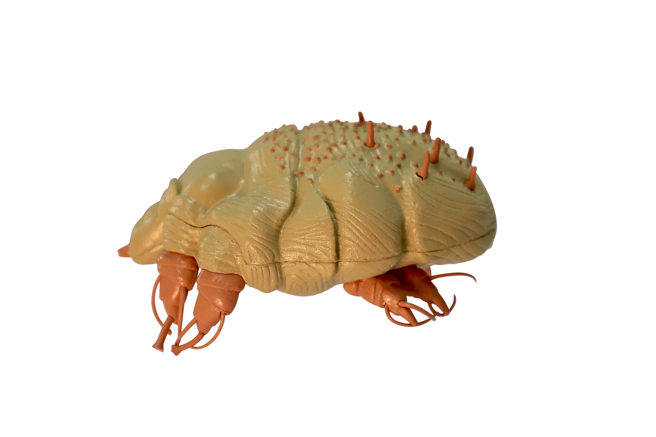 Axis Scientific Veterinary Pest Model Bundle