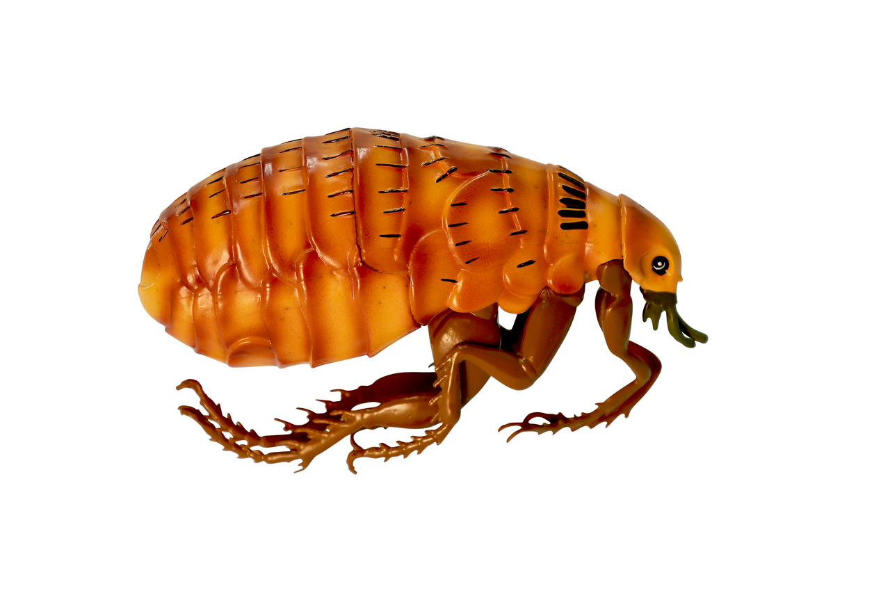 Axis Scientific Veterinary Pest Model Bundle