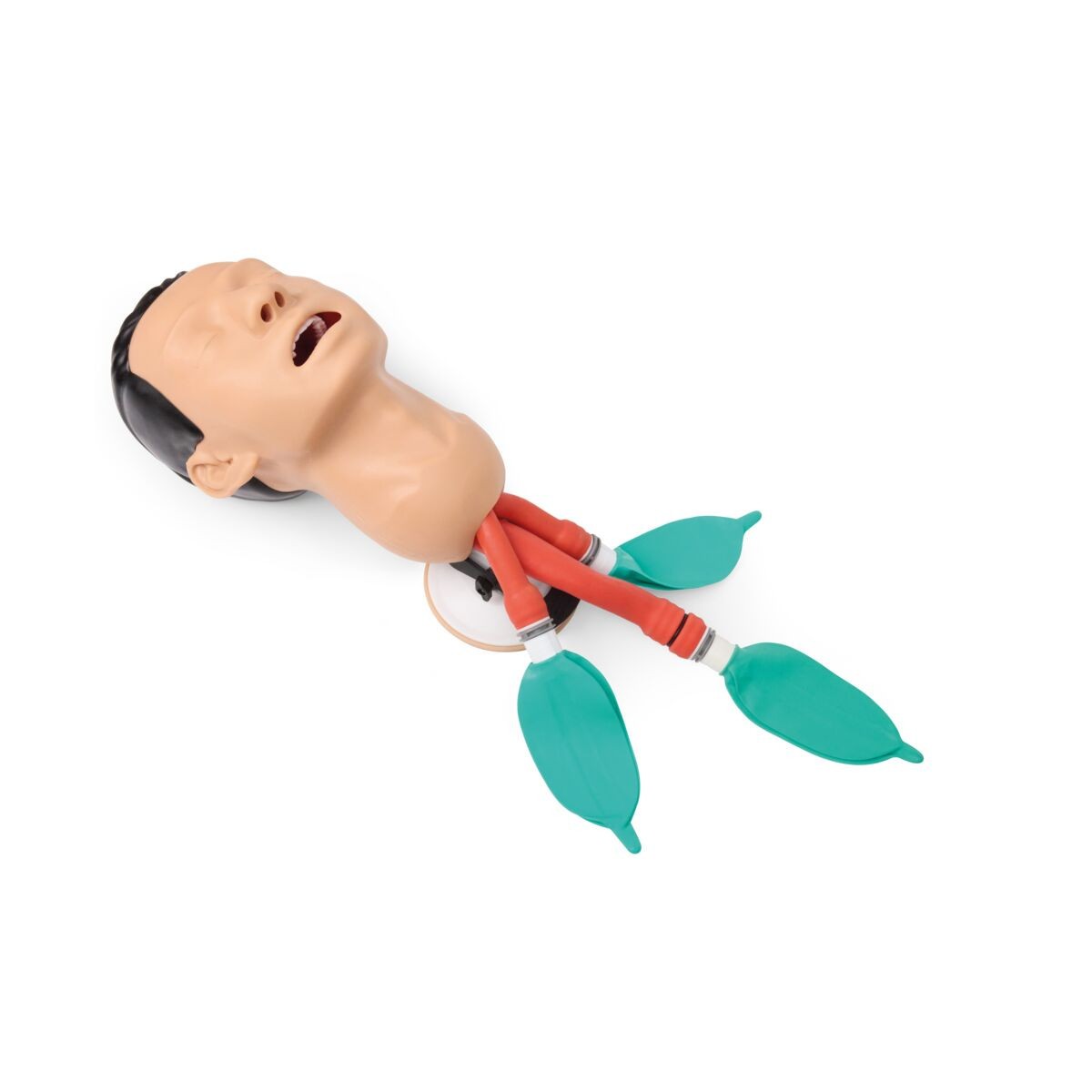 3B Airway Management Trainer