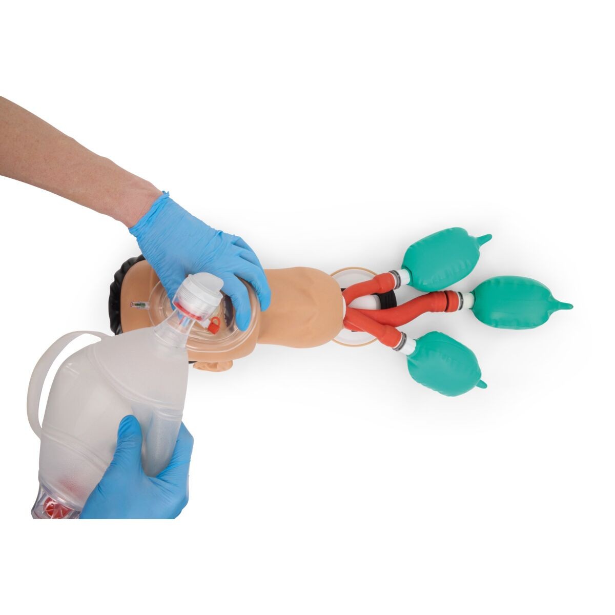 3B Airway Management Trainer