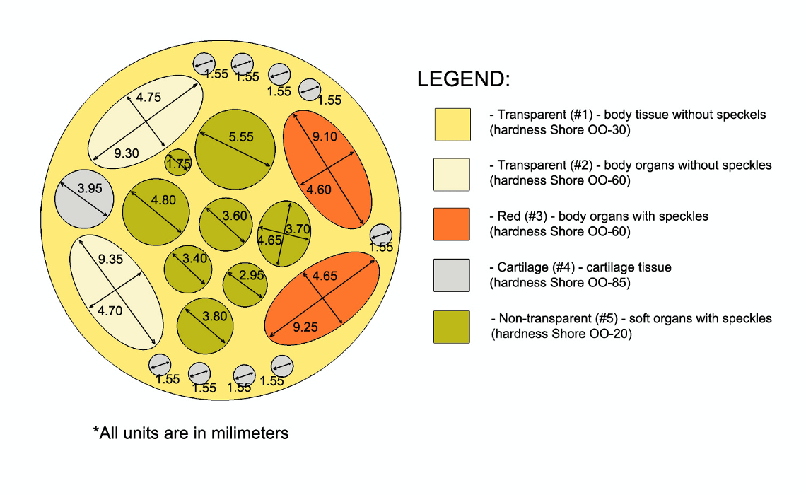 Rat Phantom (Cylindrical) for X-Ray CT, MRI