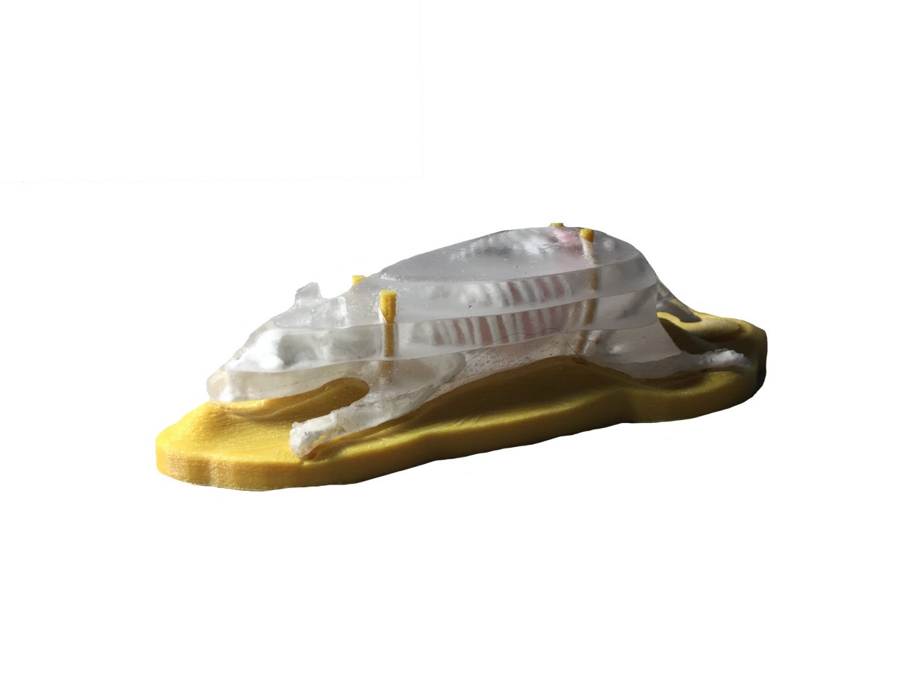 Sectional Mouse Phantom for X-Ray CT
