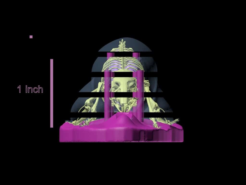 Sectional Mouse Phantom for X-Ray CT