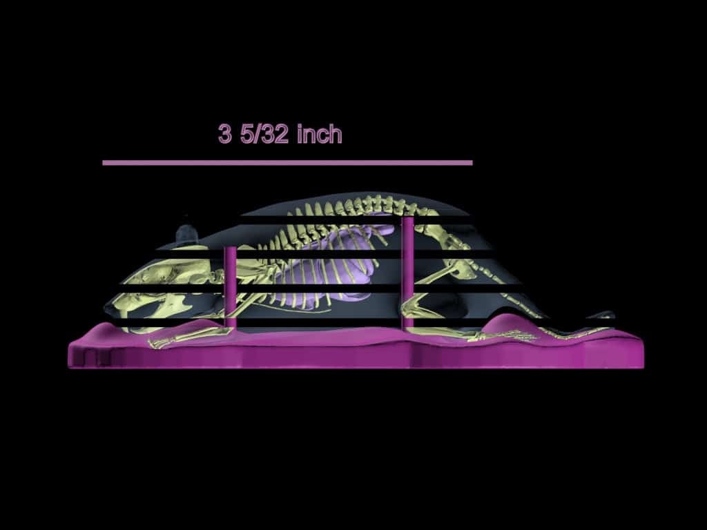 Sectional Mouse Phantom for X-Ray CT