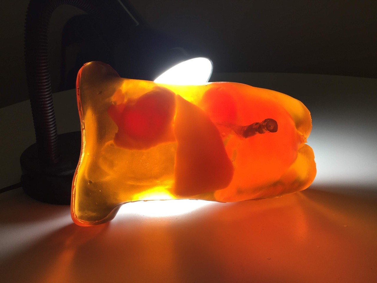 Newborn Torso (Advanced) for X-Ray CT, MRI