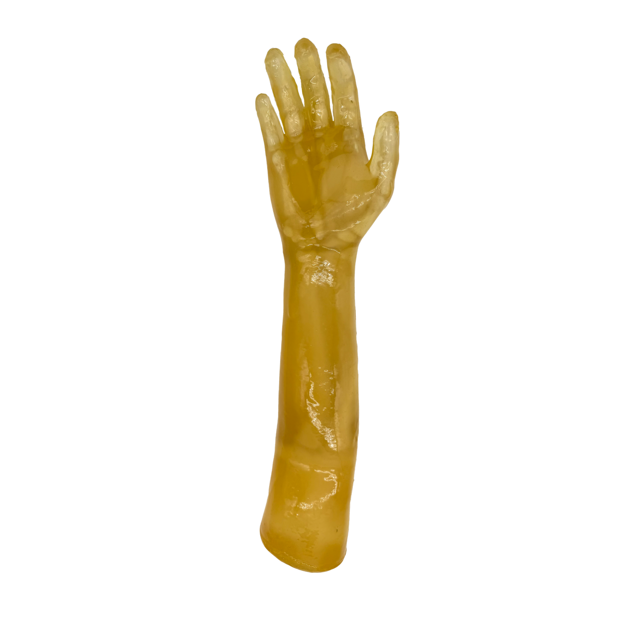 Adult Arm with Elbow for X-Ray CT, US, MRI