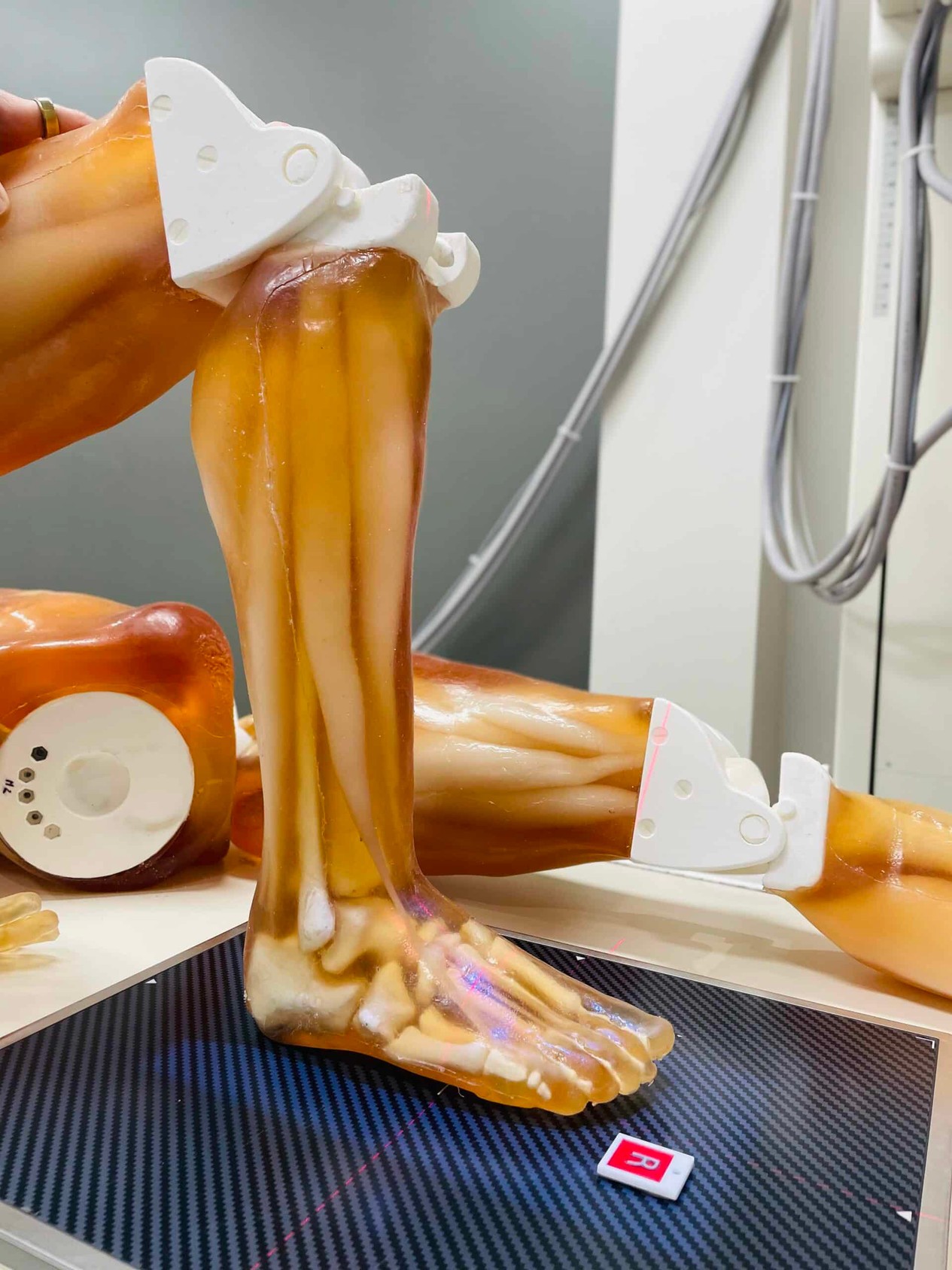 Adult Full Body for X-Ray CT, US