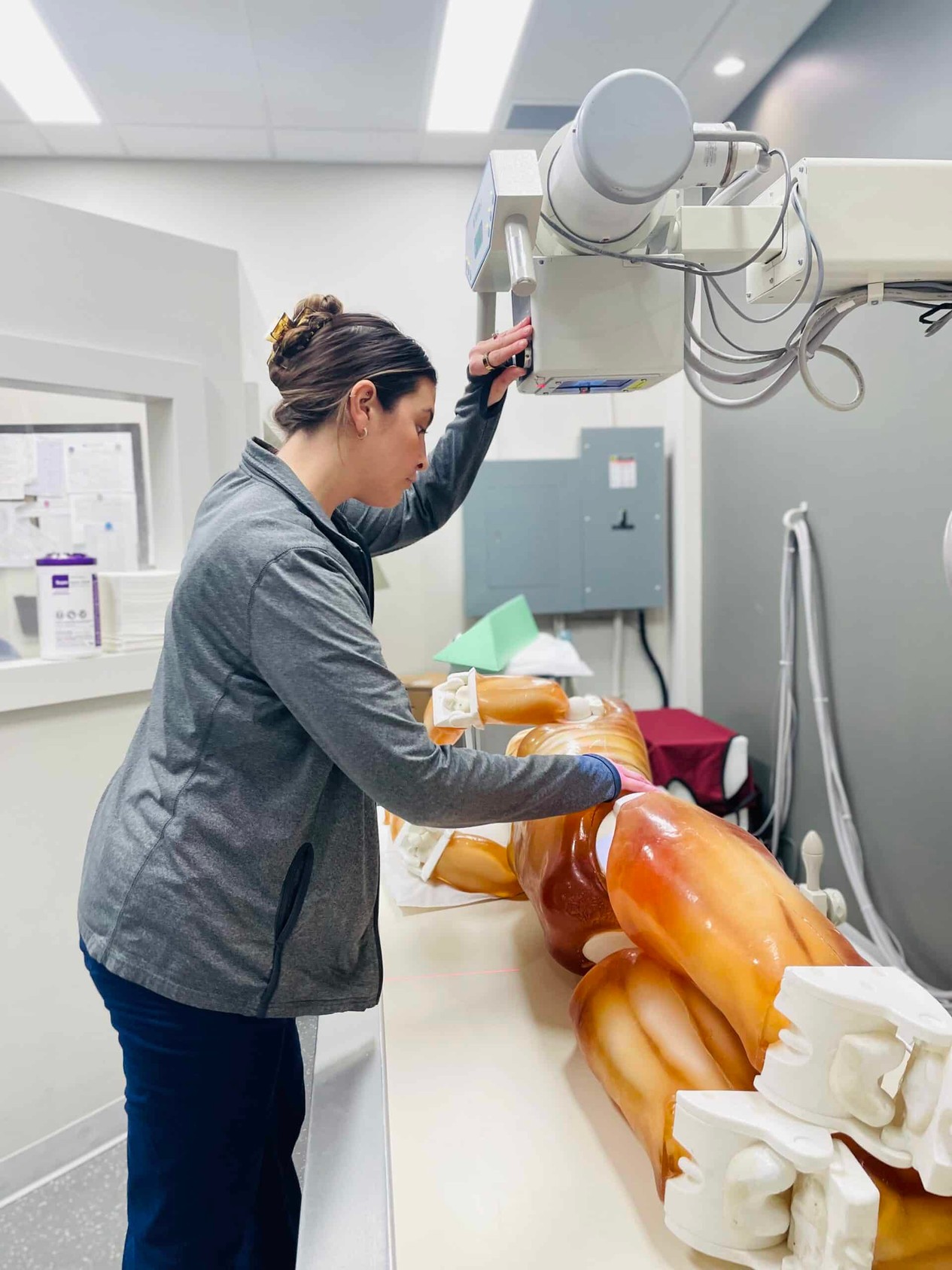 Adult Full Body with Muscles for X-Ray CT, US