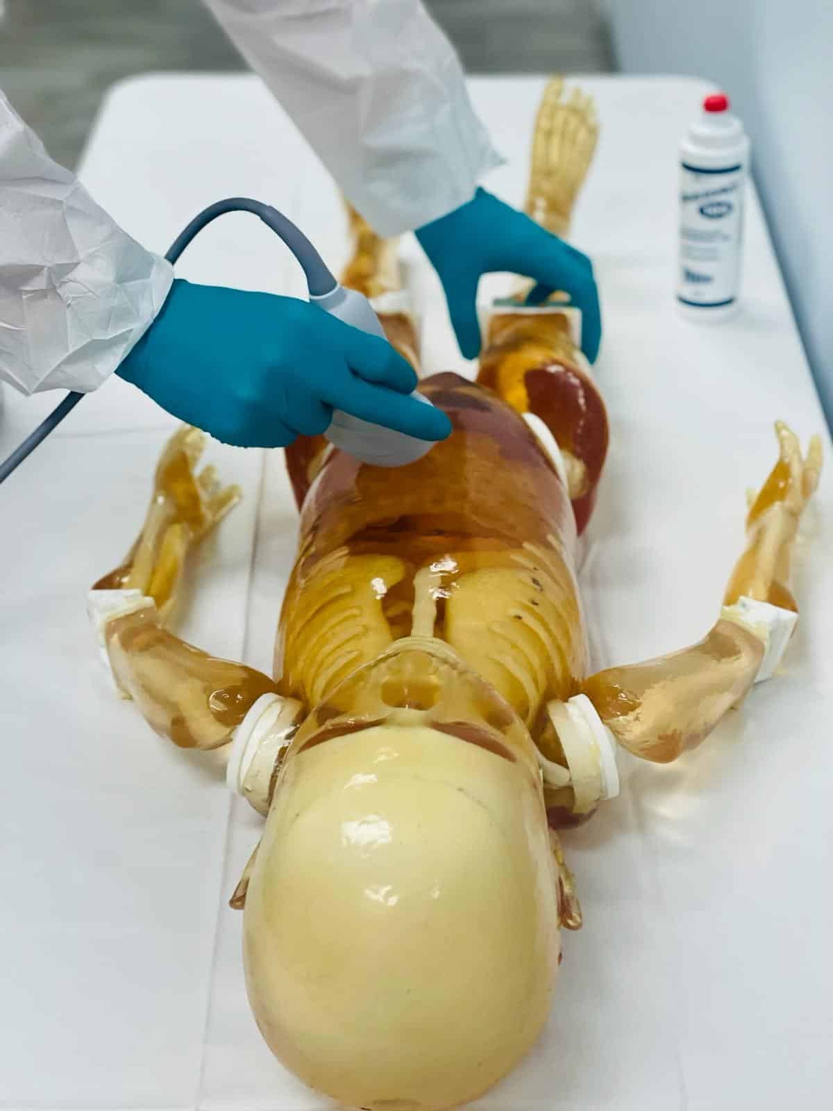 Pediatric Full Body for X-Ray CT, US
