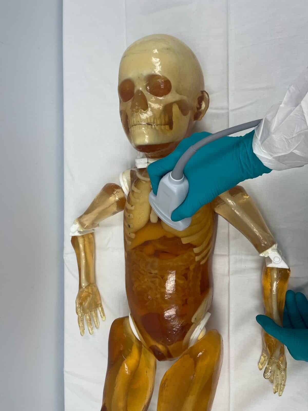 Pediatric Full Body for X-Ray CT, US