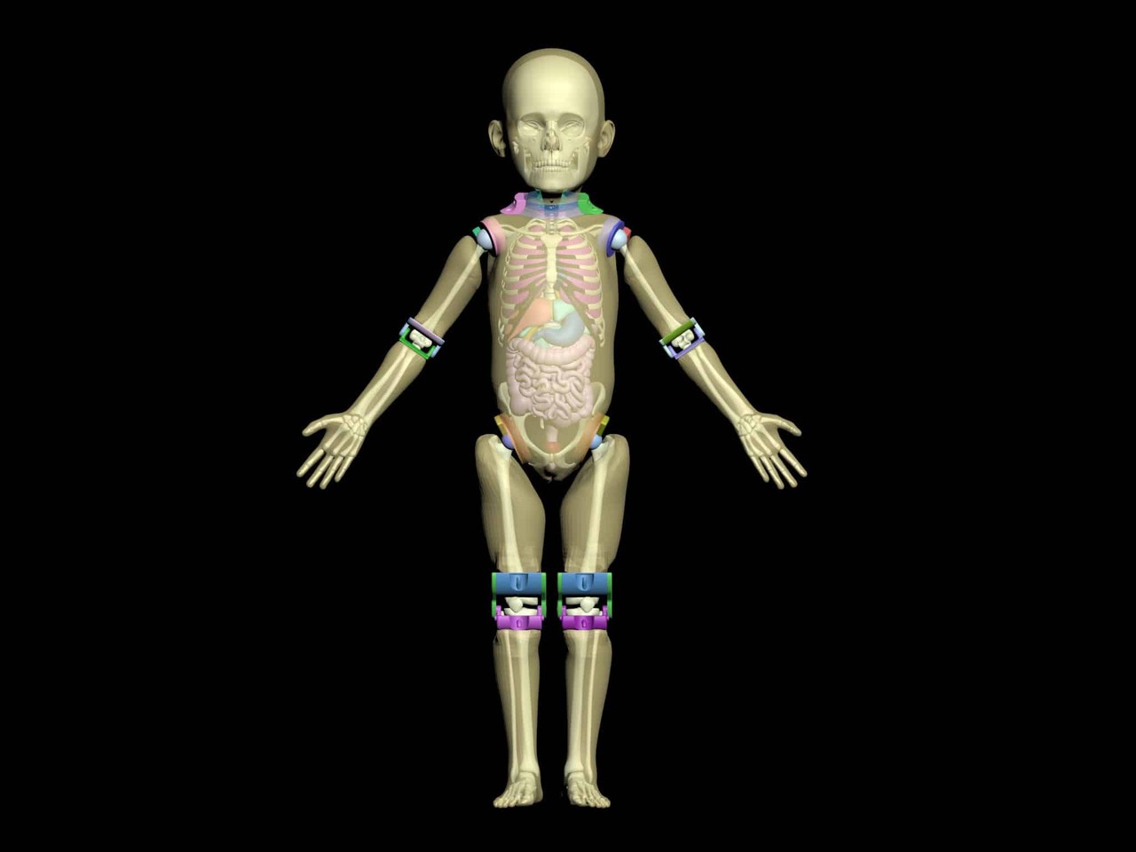Pediatric Full Body for X-Ray CT, US
