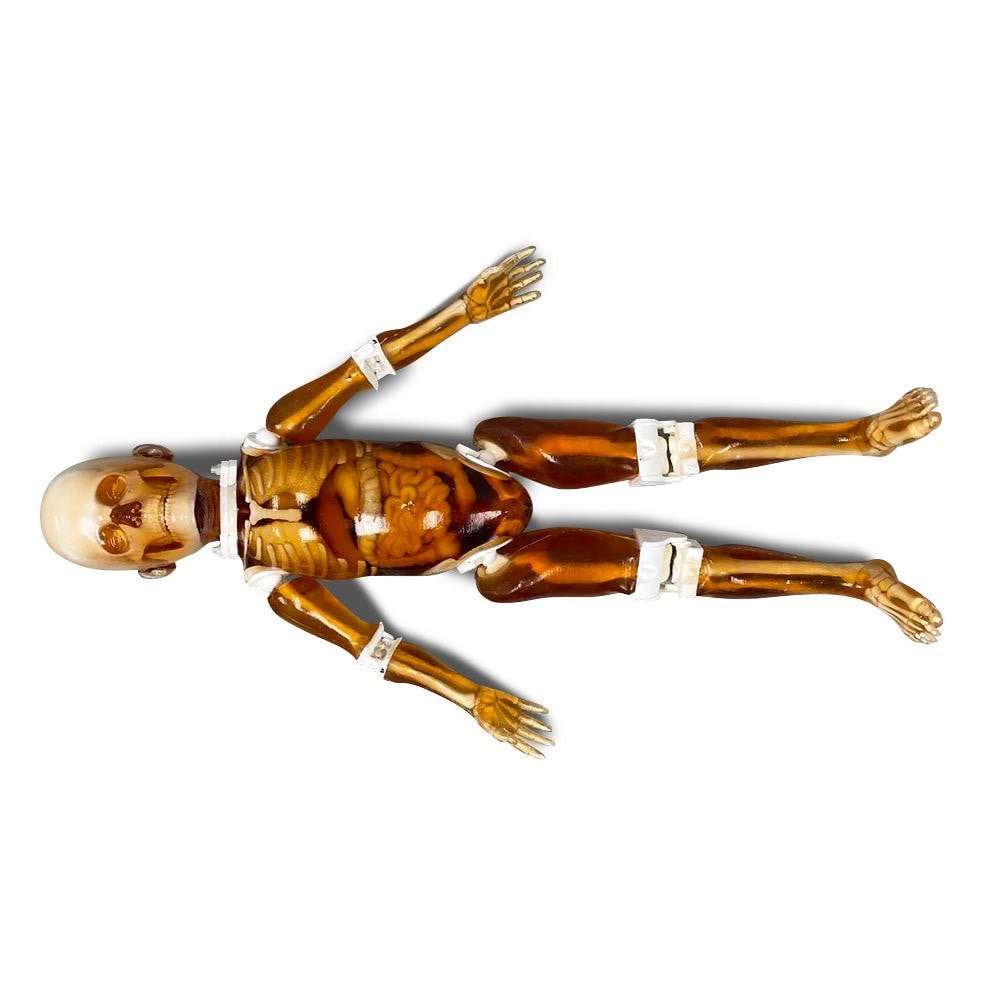 Pediatric Full Body for X-Ray CT, US