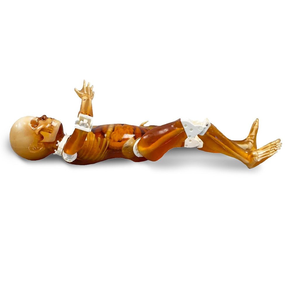 Pediatric Full Body for X-Ray CT, US