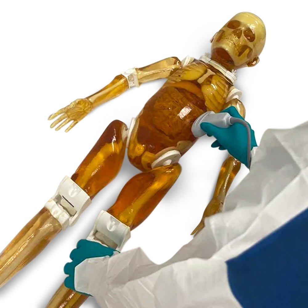 Pediatric Full Body for X-Ray CT, US