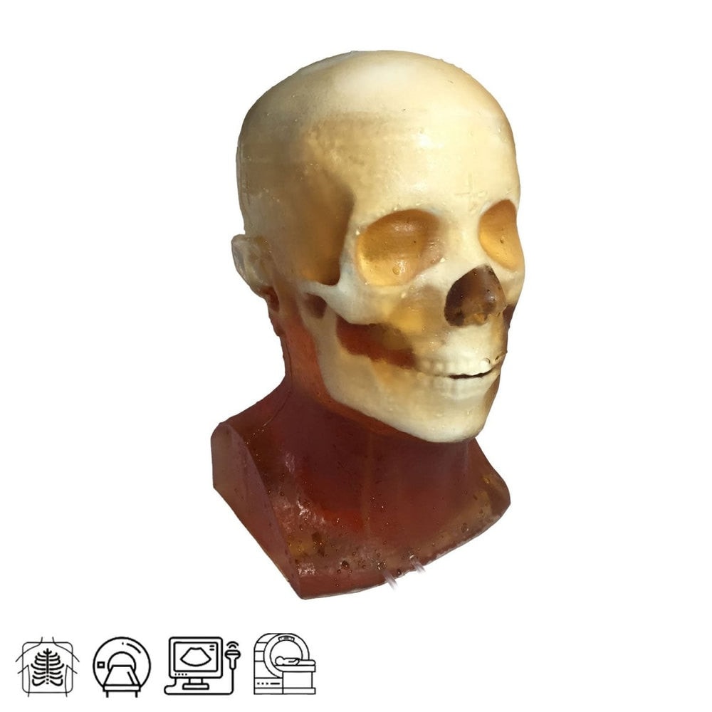 Adult Head (Hematoma) for X-Ray CT, US, MRI