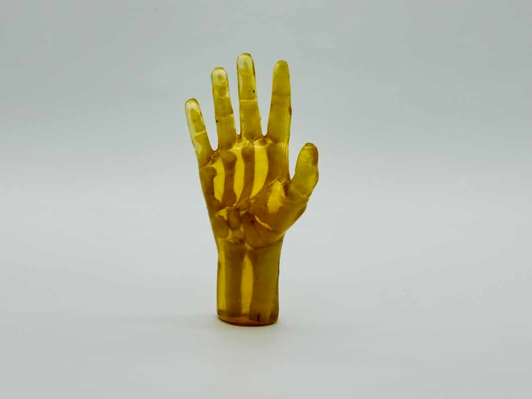 Pediatric Hand for X-Ray CT, US, MRI