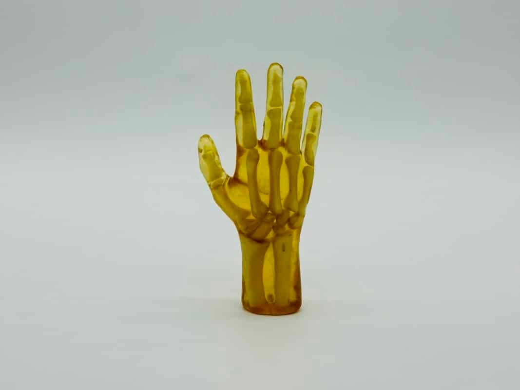 Pediatric Hand for X-Ray CT, US, MRI