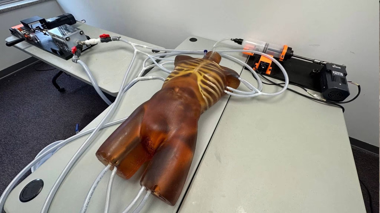 Lung Pump for Human X-Ray CT, US, MRI Phantoms