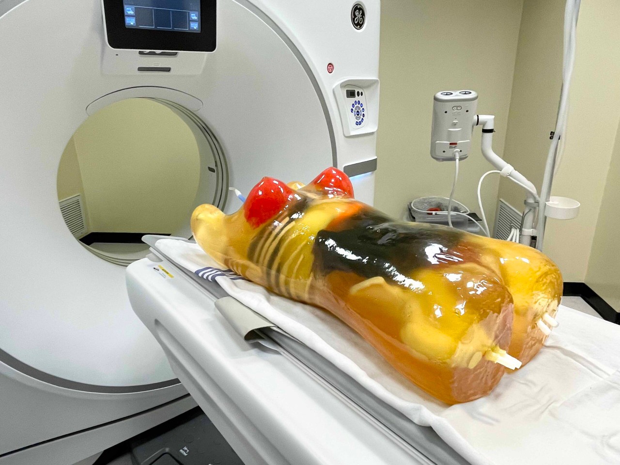 Adult Female Torso for X-Ray CT, US