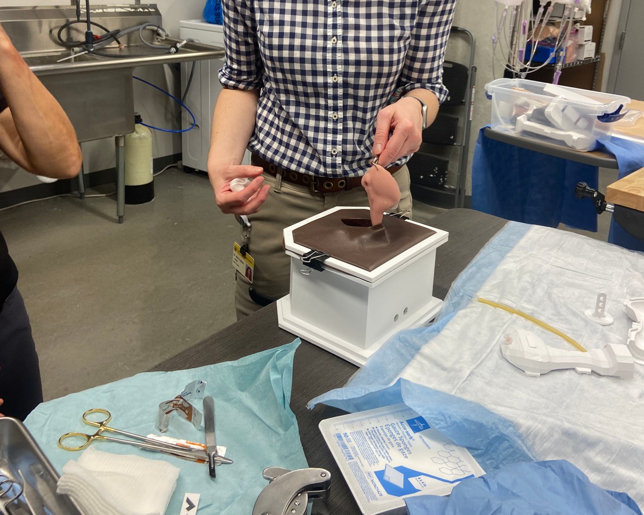 Equine Castration Surgical Simulator