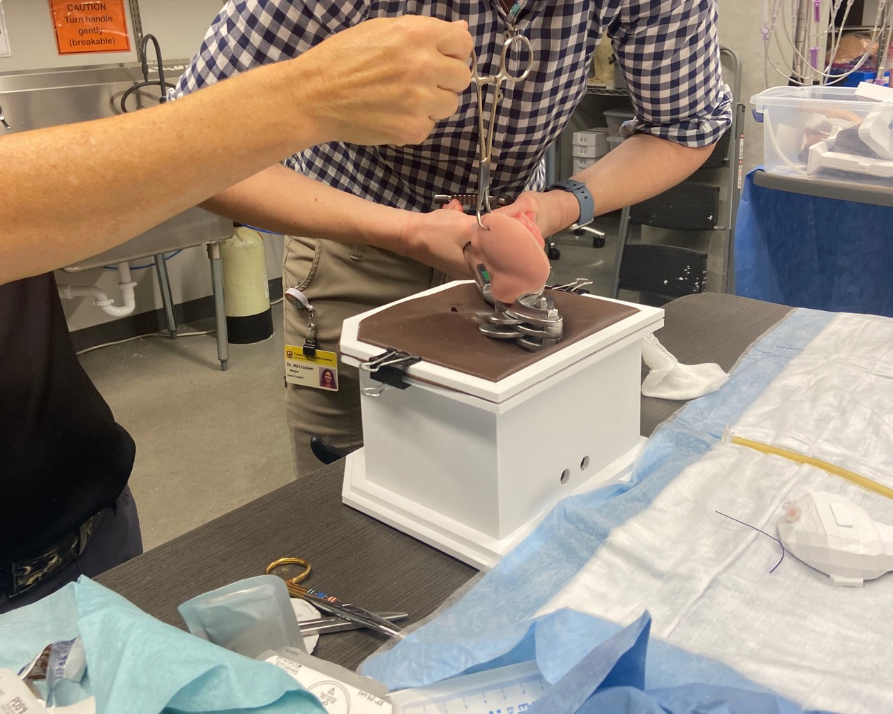 Equine Castration Surgical Simulator