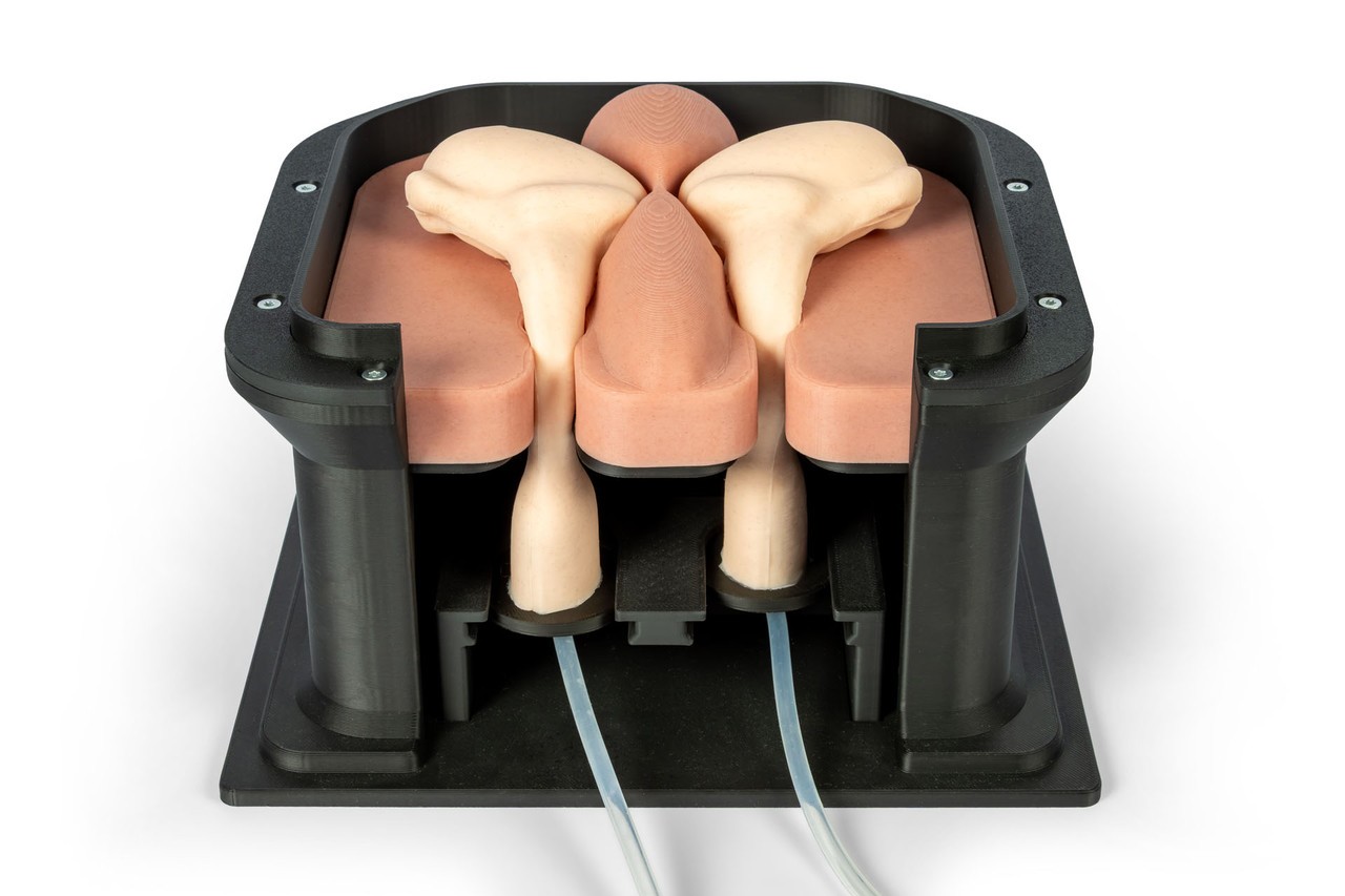 Equine Castration Surgical Simulator