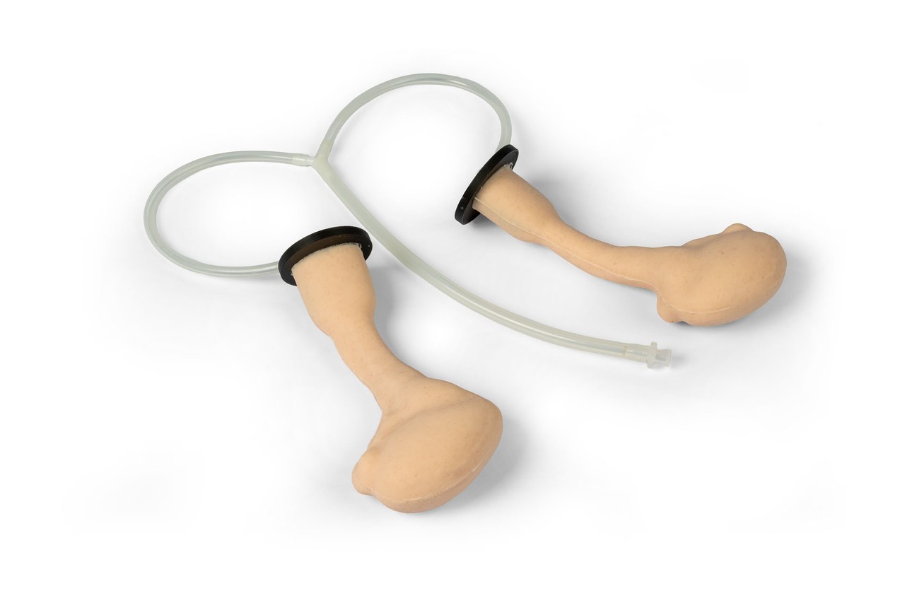 Equine Castration Surgical Simulator