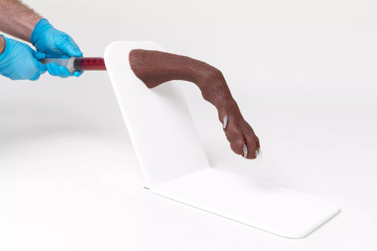 Erler Zimmer Advanced Canine Claw Trimming Paw