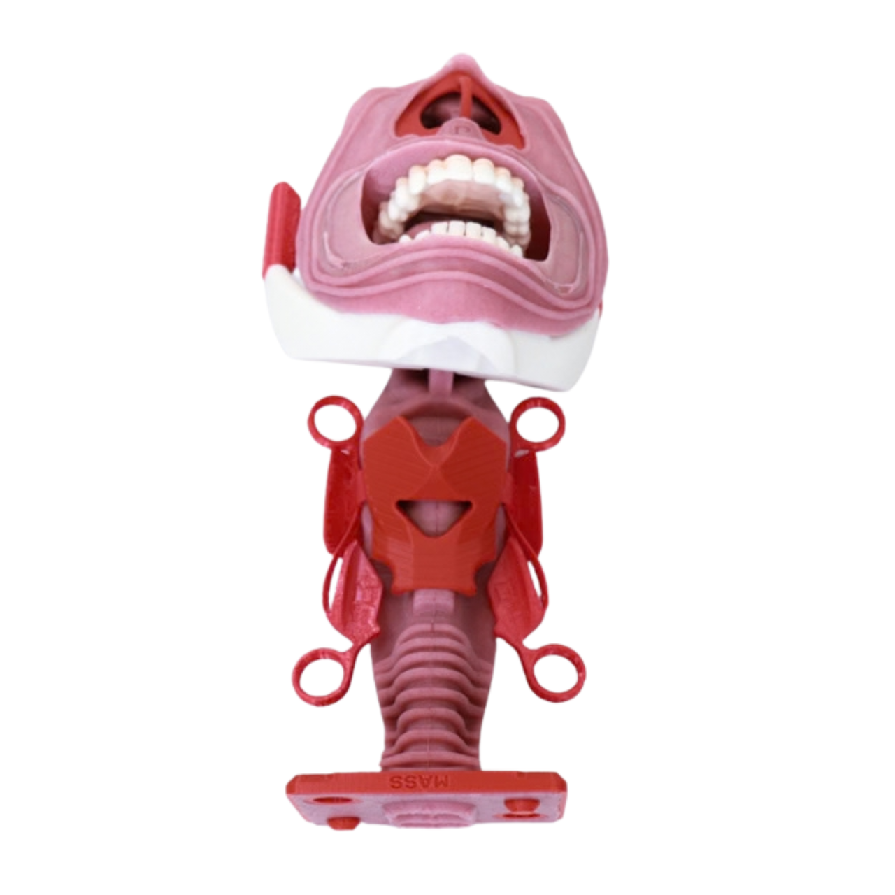 burn injury airway v2