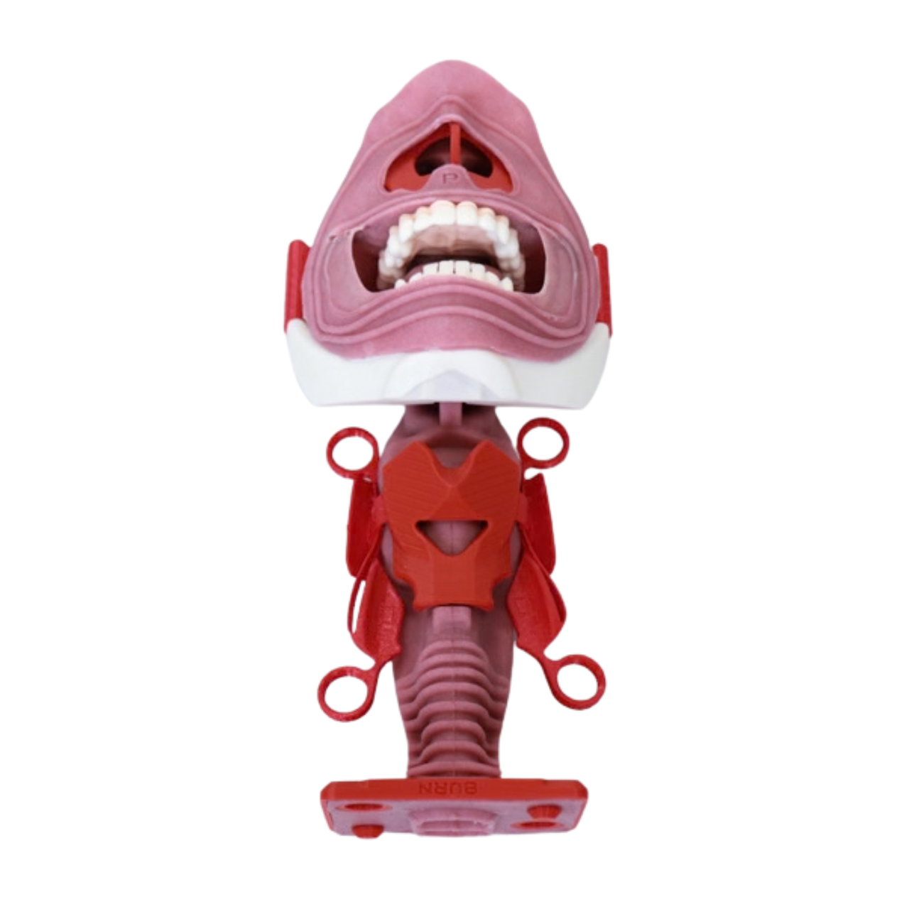 mass/tumor airway v2
