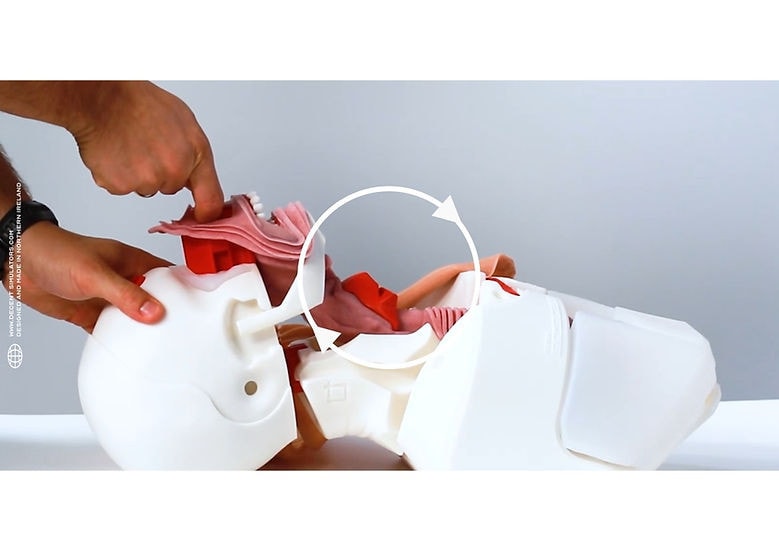 Mass/Tumor Difficult Airway Module for Airway Management Task Trainer V2