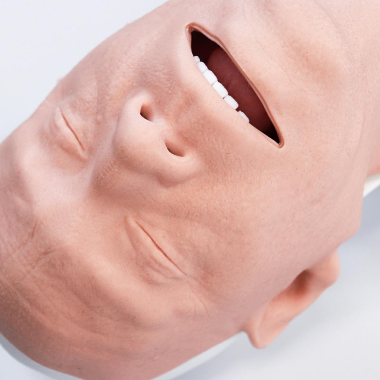 Adult Airway Management Platform Task Trainer V2.1