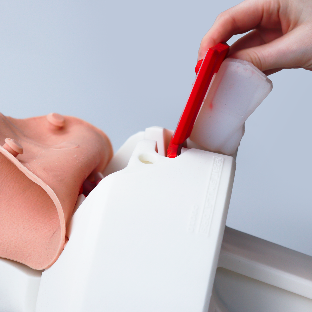 Adult Airway Management Platform Task Trainer V2.1