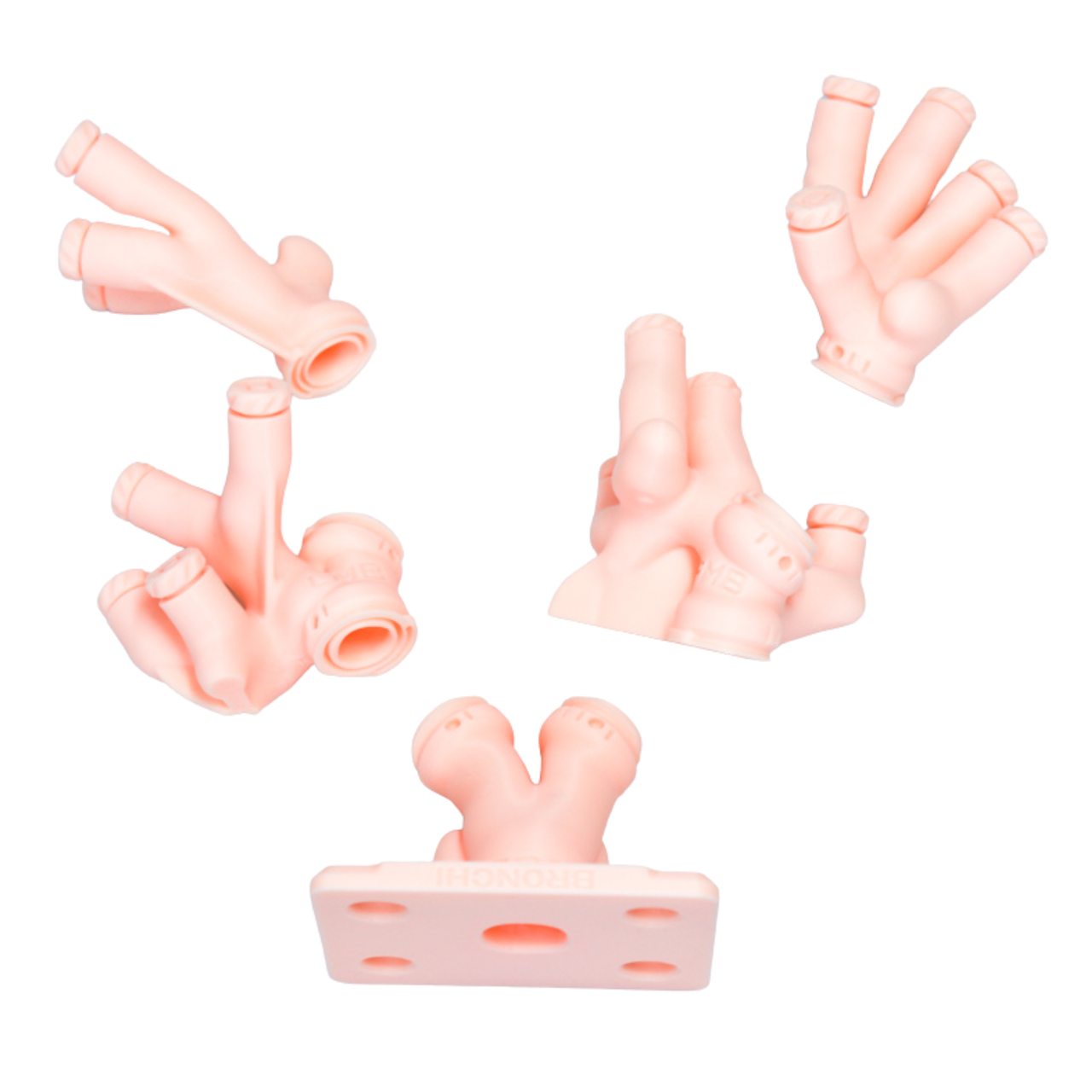 Bronchi Skill Module for Airway Management Task Trainer V2