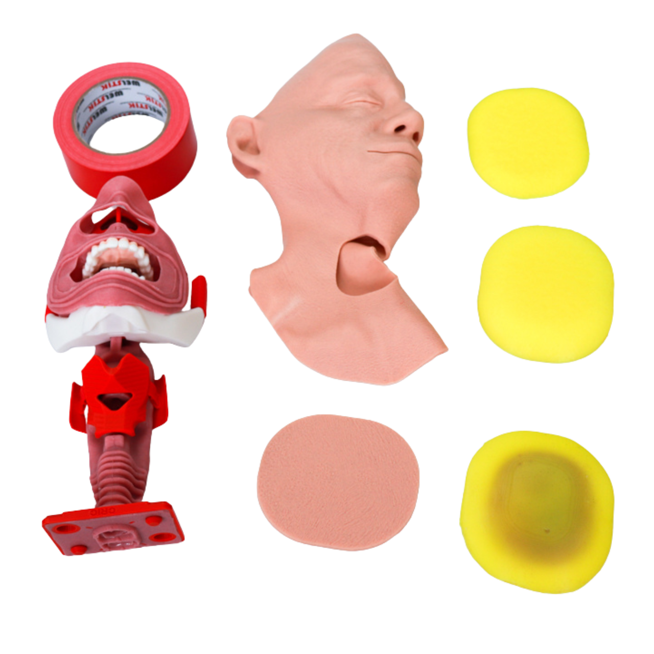 F.O.N.A. Skill Module for Airway Management Task Trainer V2