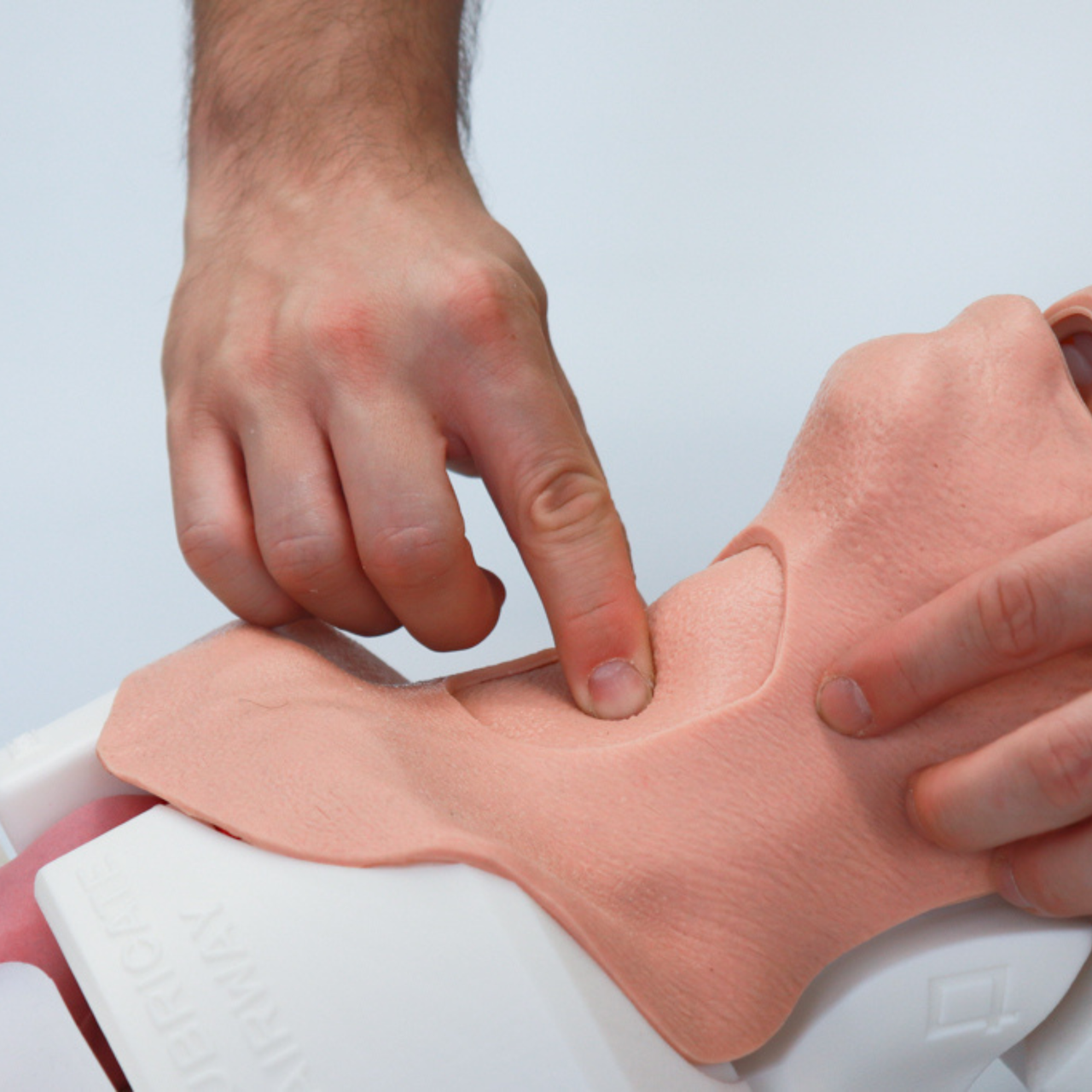 F.O.N.A. Skill Module for Airway Management Task Trainer V2