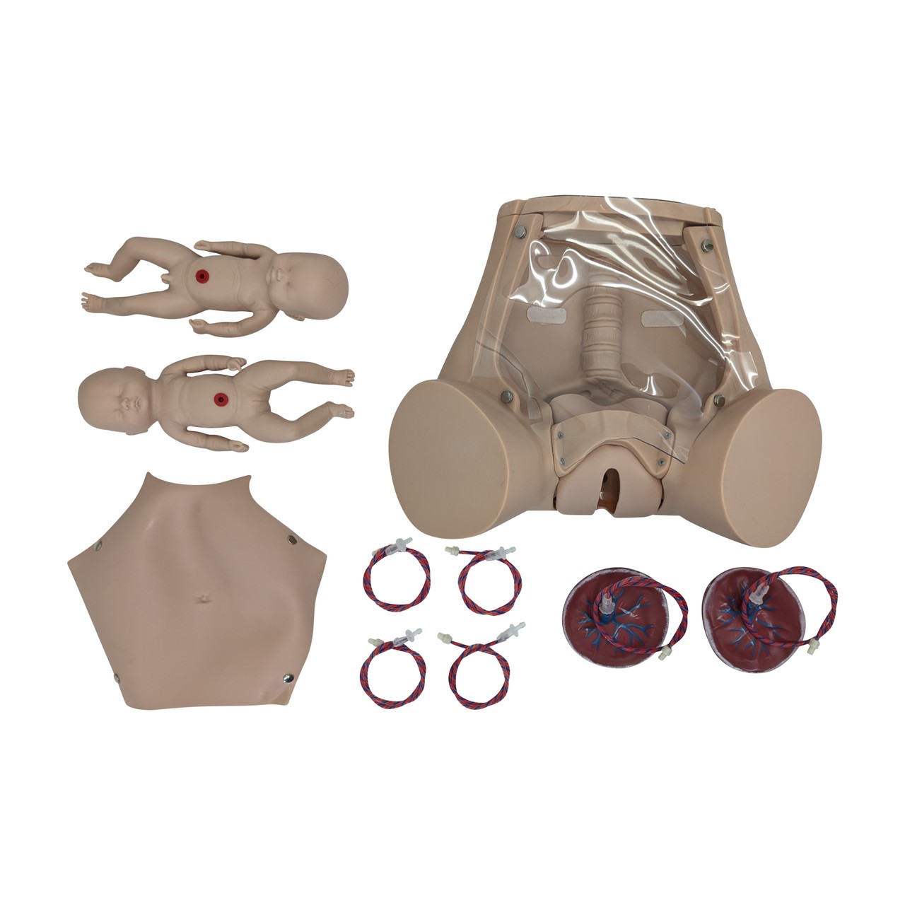 Anatomy Lab Advanced Childbirth Simulator