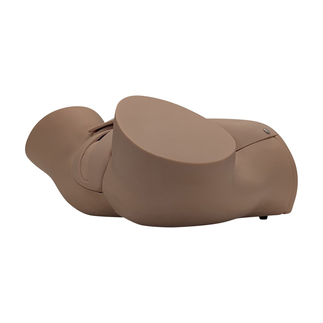 Anatomy Lab Advanced Childbirth Simulator