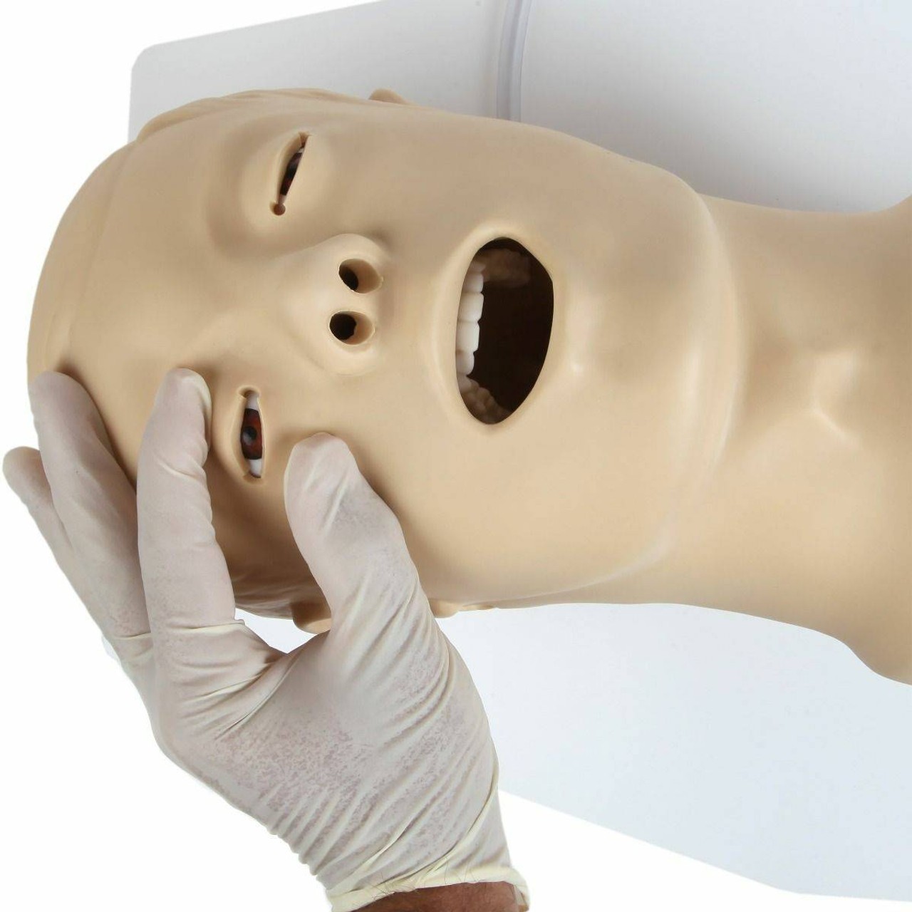 Anatomy Lab Airway Management Trainer