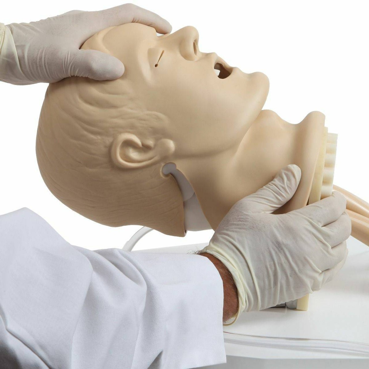 Anatomy Lab Airway Management Trainer