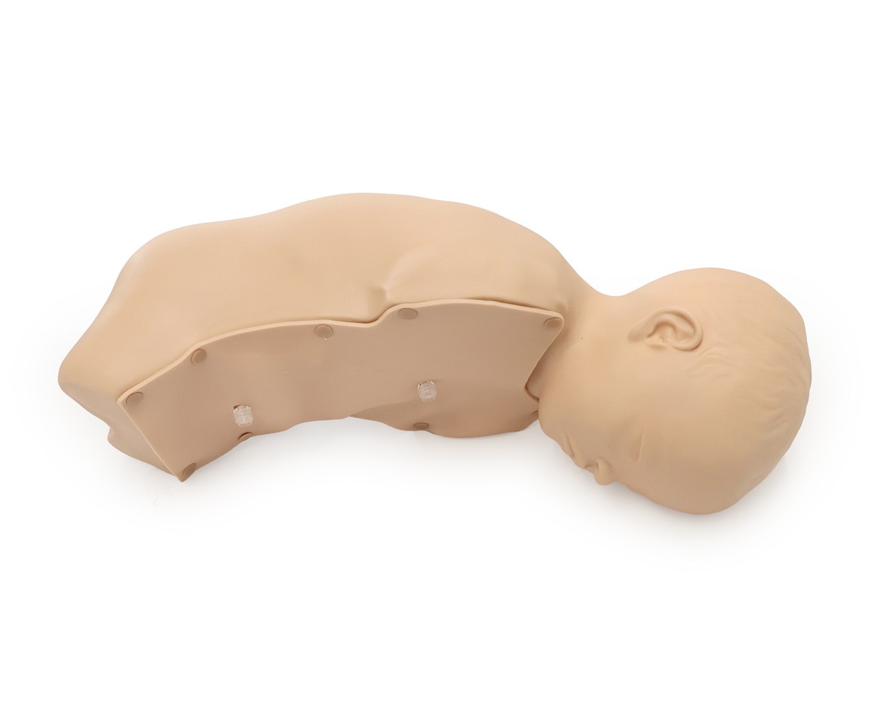Anatomy Lab Baby Stap