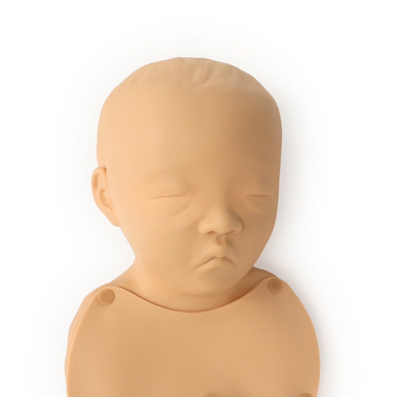 Anatomy Lab Baby Stap