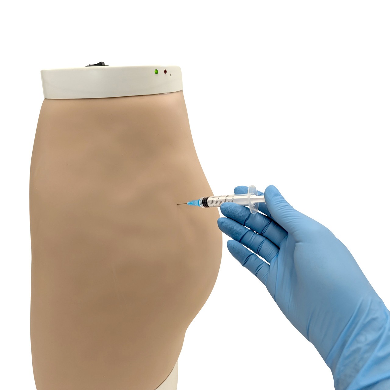 Anatomy Lab Buttock Mate Intramuscular Injection Model