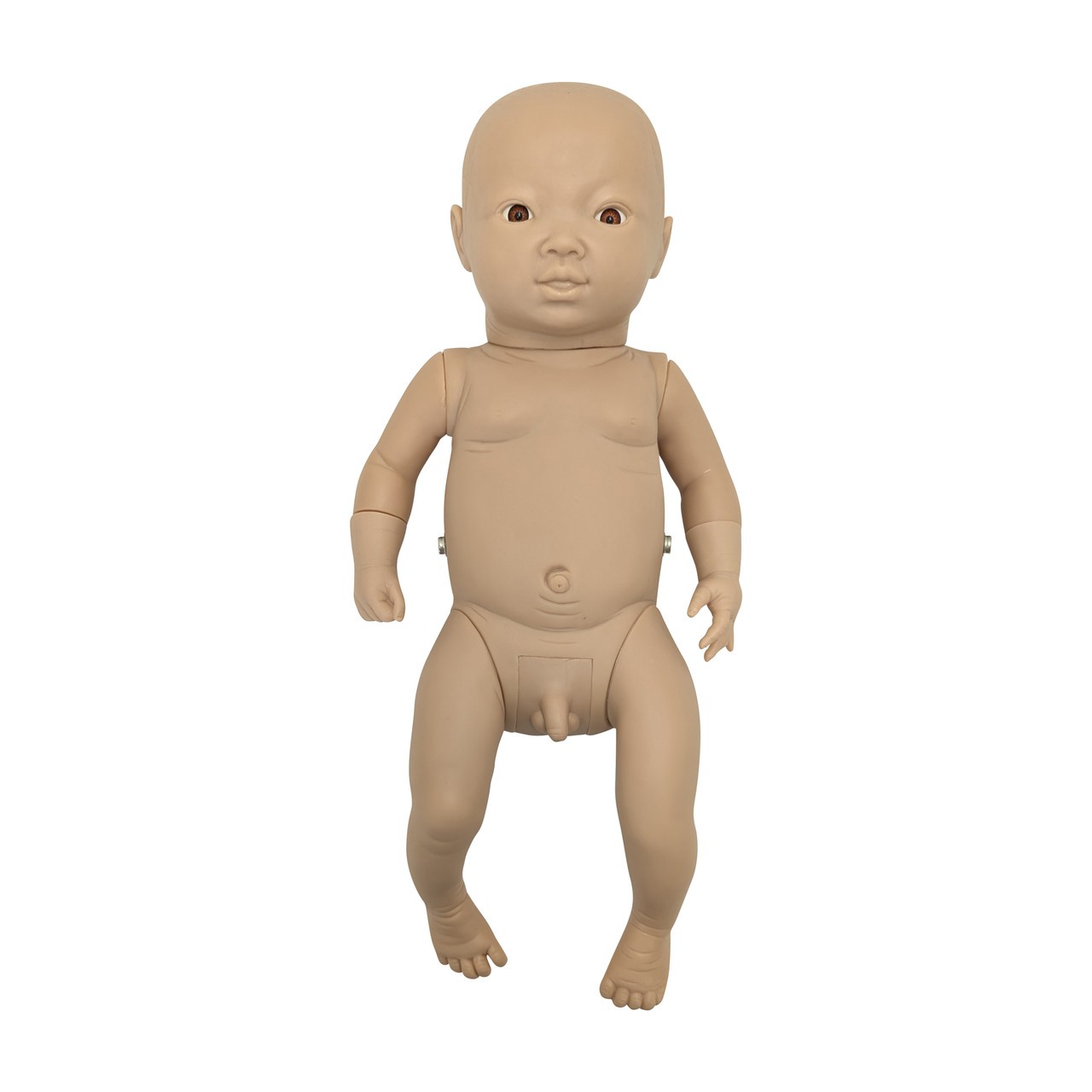 Anatomy Lab Intelligent Baby Boy