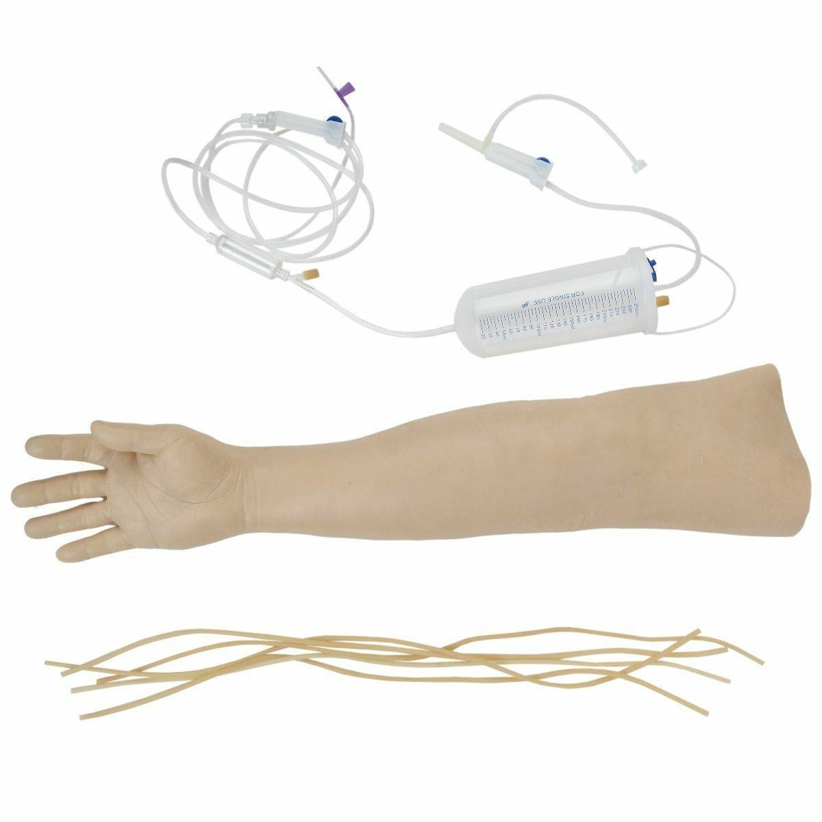 Anatomy Lab IV Training Arm