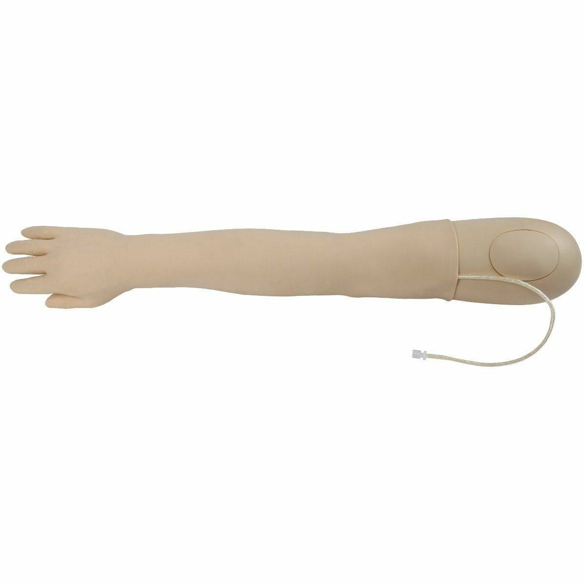 Anatomy Lab IV Training Arm