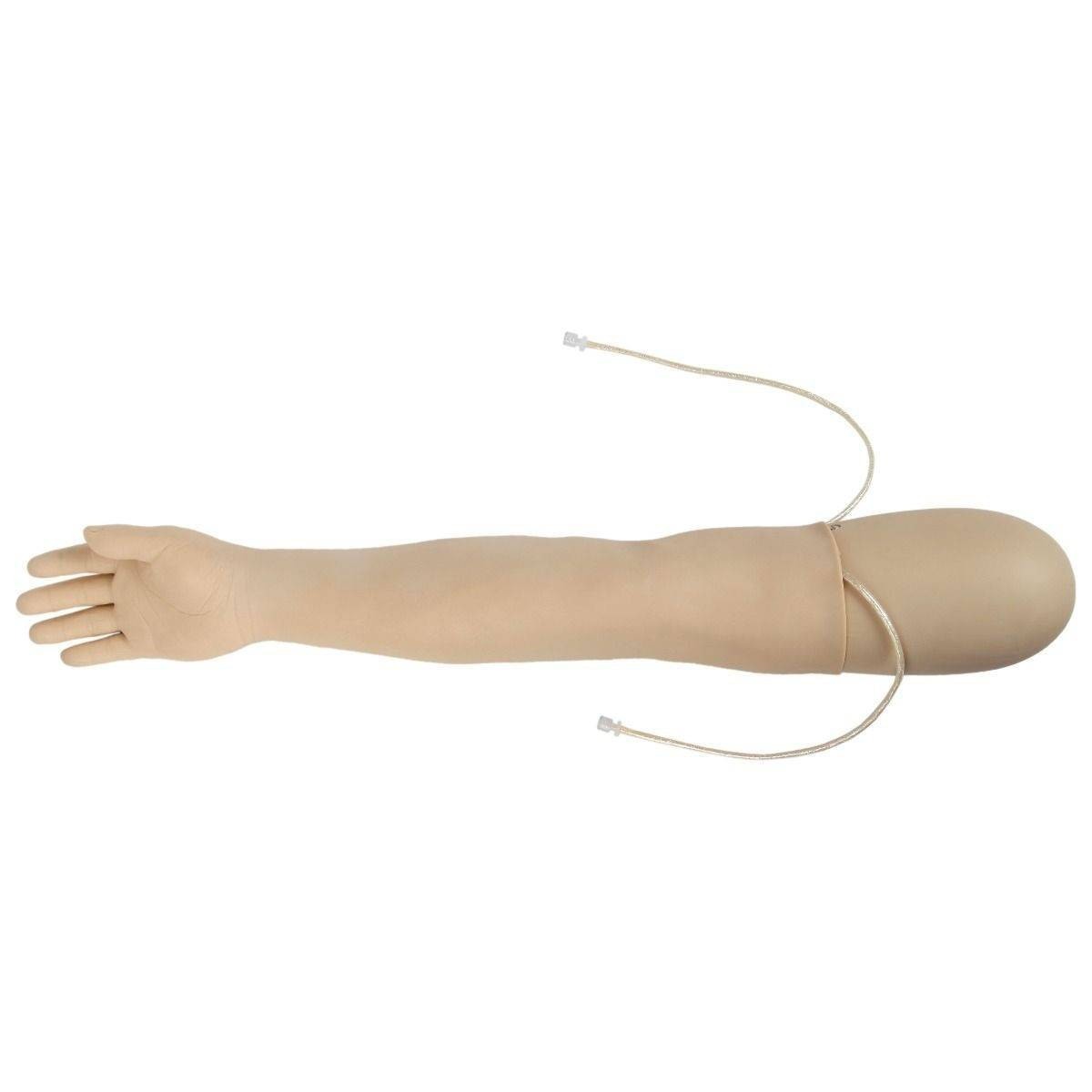 Anatomy Lab IV Training Arm