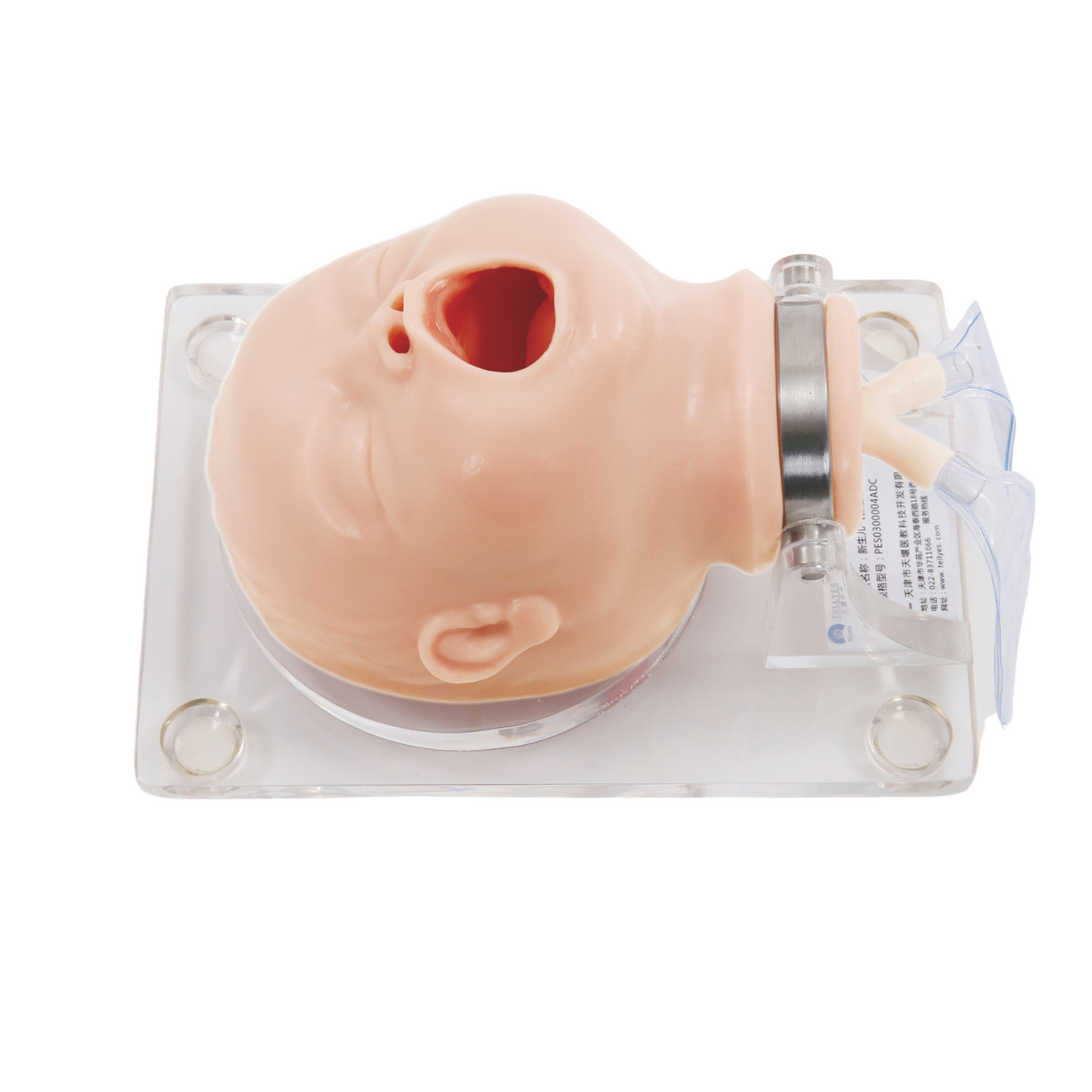 Anatomy Lab Neonate Airway Management Trainer