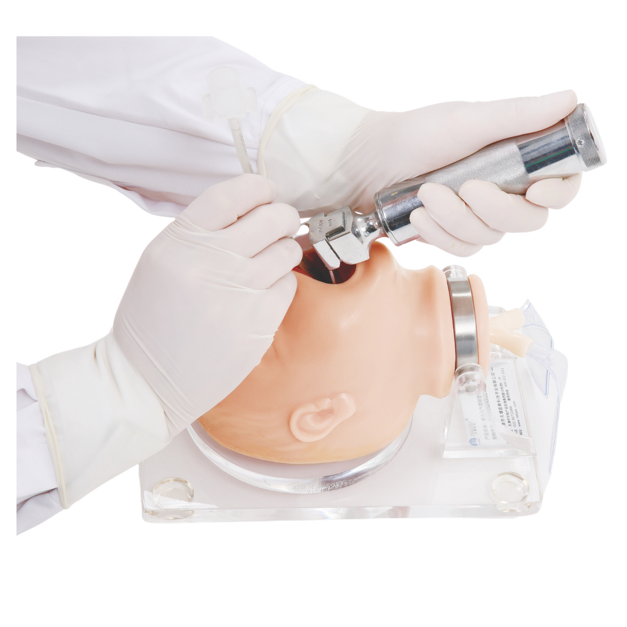 Anatomy Lab Neonate Airway Management Trainer