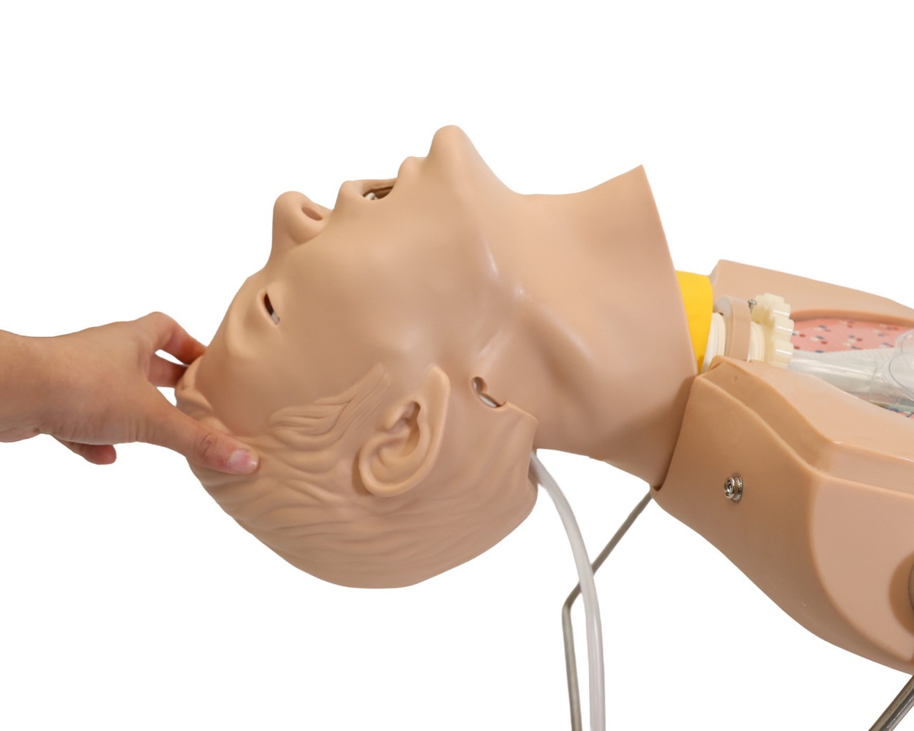 Anatomy Lab NG Tube and Tracheal Care Simulator